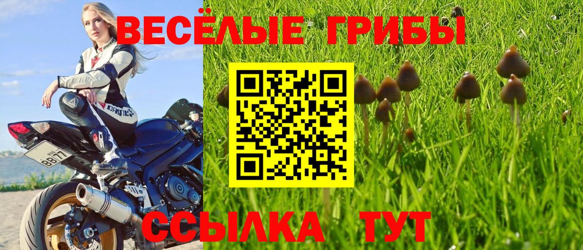 Галлюциногенные грибы Magic Shrooms Елабуга