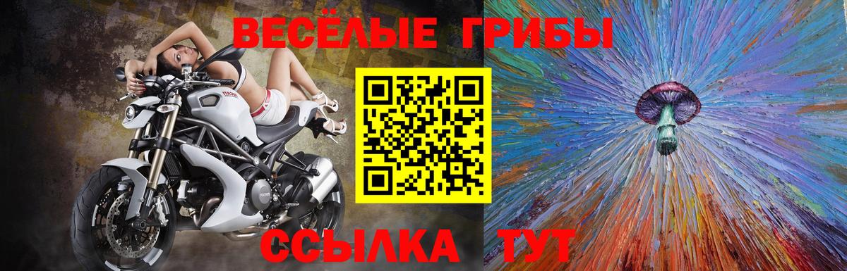 Псилоцибиновые грибы Cubensis  Галлюциногенные грибы GOLDEN TEACHER  Вход с VPN  Елабуга 